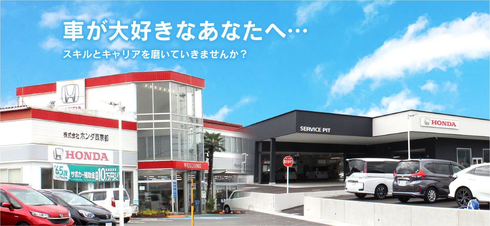 車が大好きなあなたへ…スキルとキャリアを磨いていきませんか？